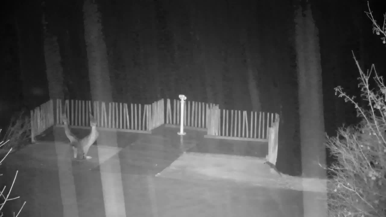 Spletna kamera Ribnik Vrbje – Žalec