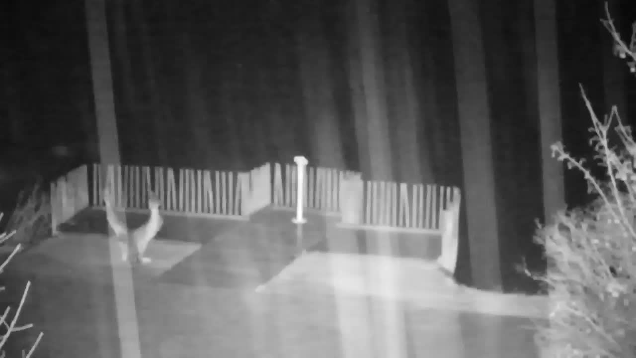 Spletna kamera Ribnik Vrbje – Žalec