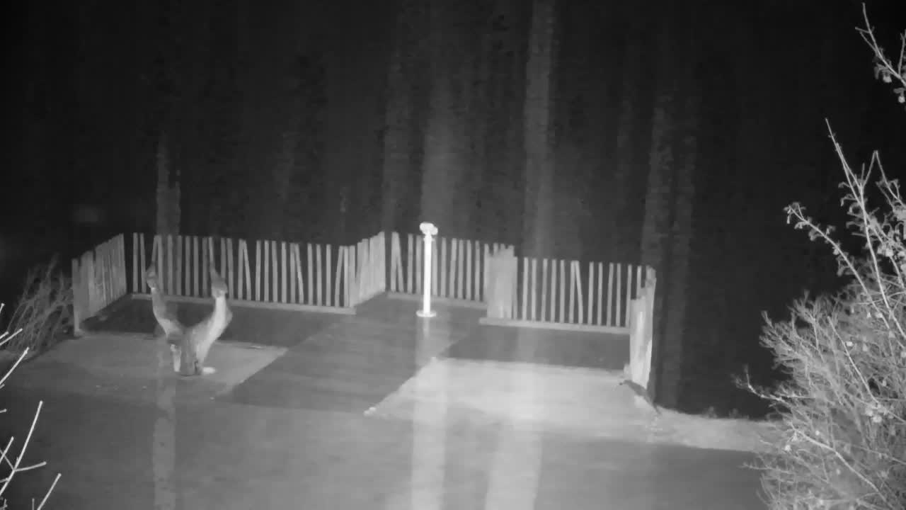 Spletna kamera Ribnik Vrbje – Žalec