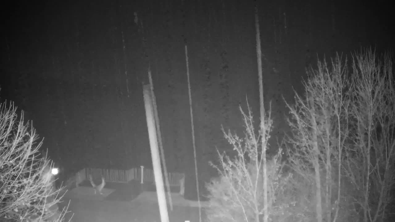 Webcam Ribnik Vrbje – Žalec