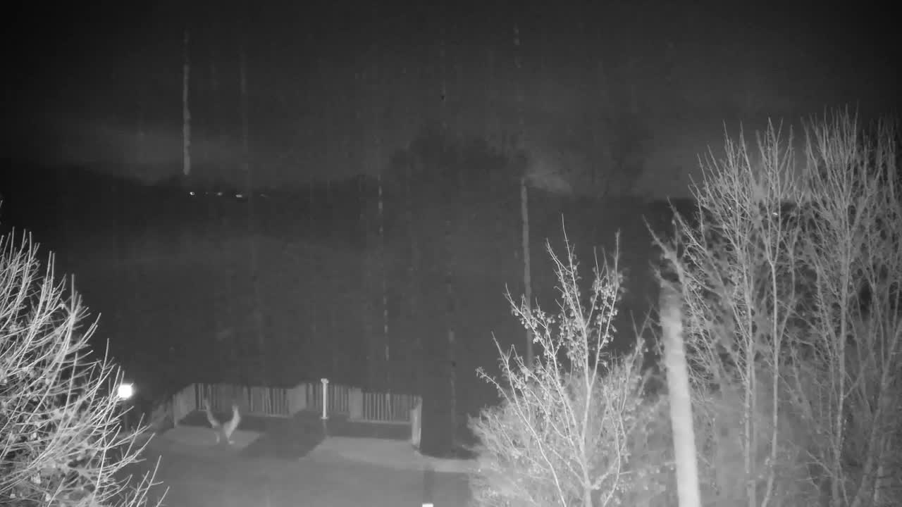 Webcam Ribnik Vrbje – Žalec