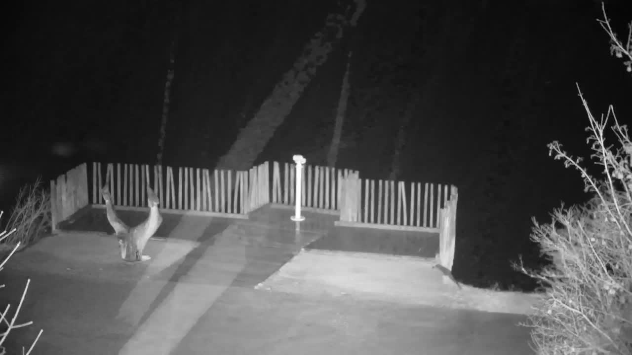 Webcam Ribnik Vrbje – Žalec