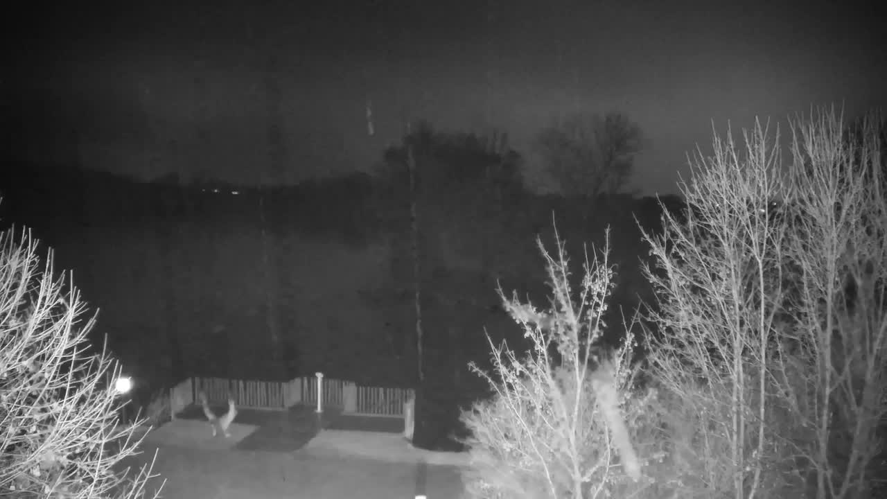 Web kamera Ribnik Vrbje – Žalec