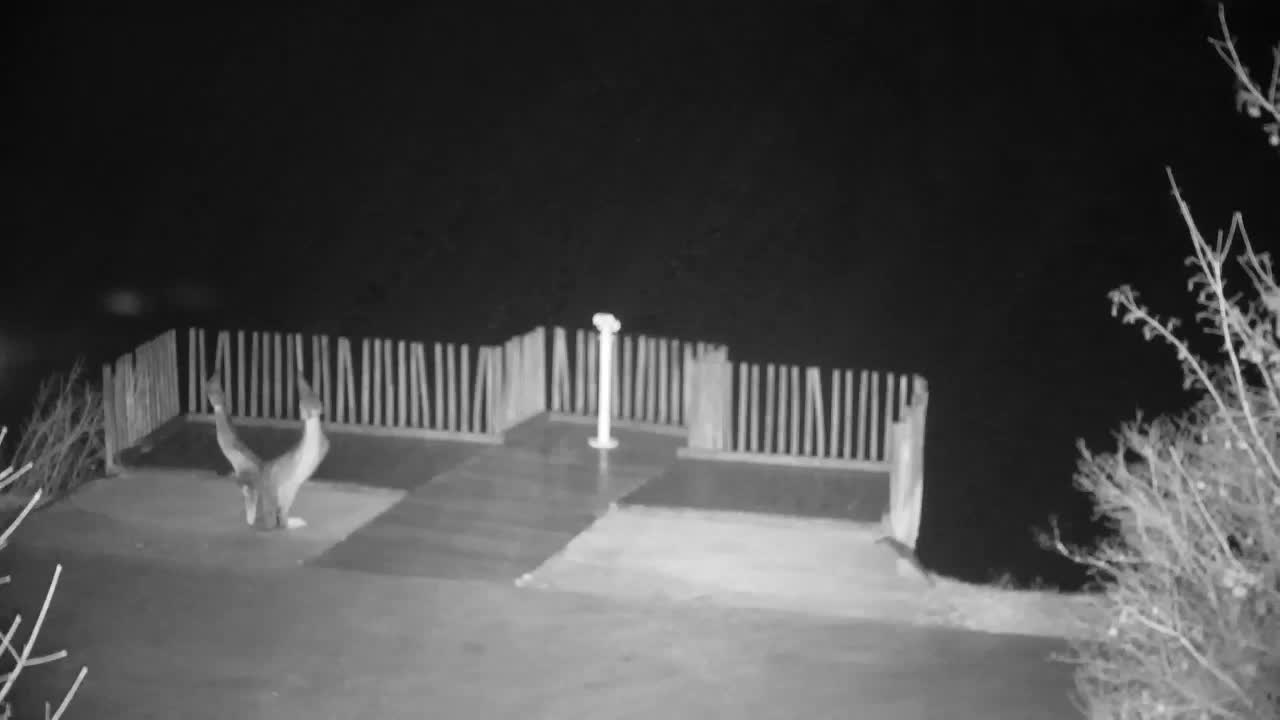 Webcam Ribnik Vrbje – Žalec