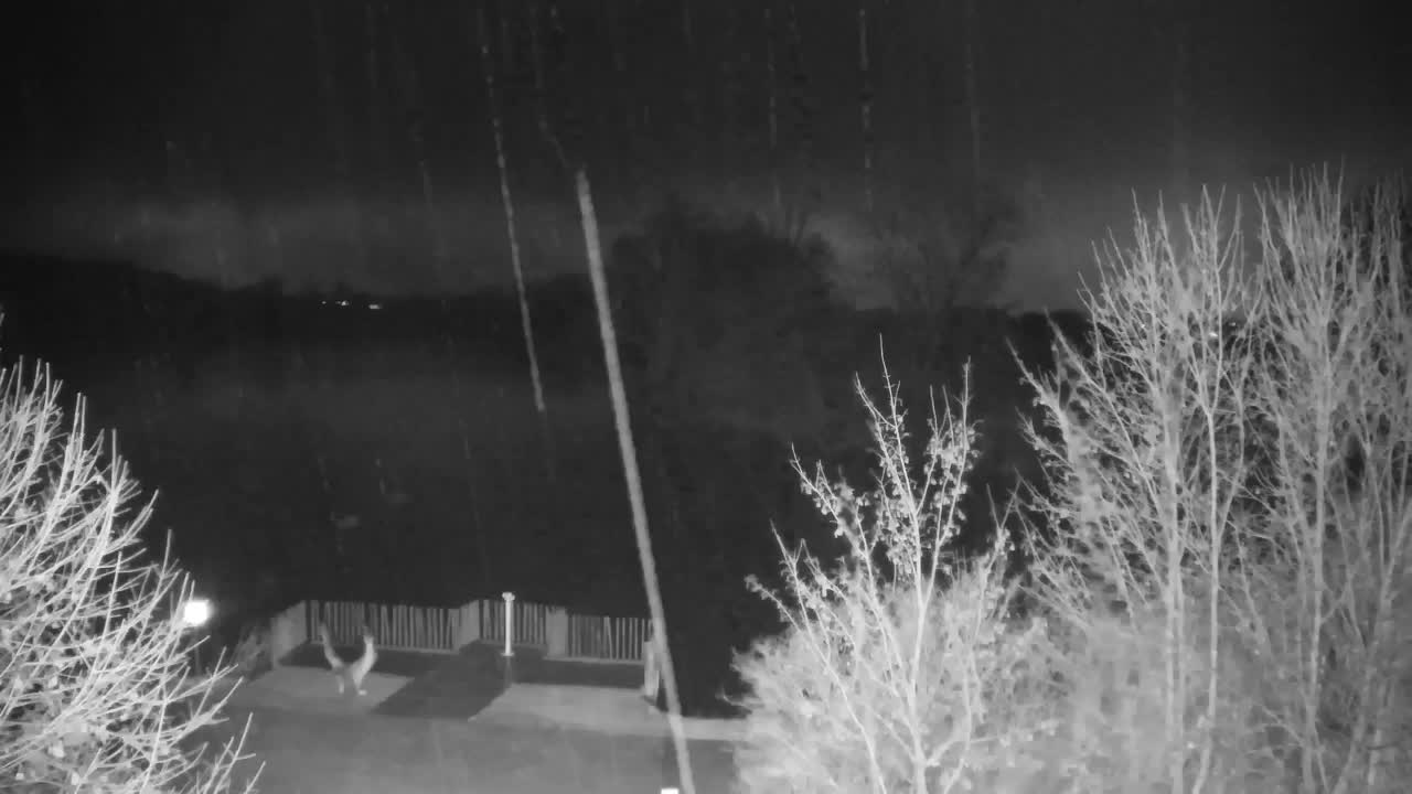 Webcam Ribnik Vrbje – Žalec