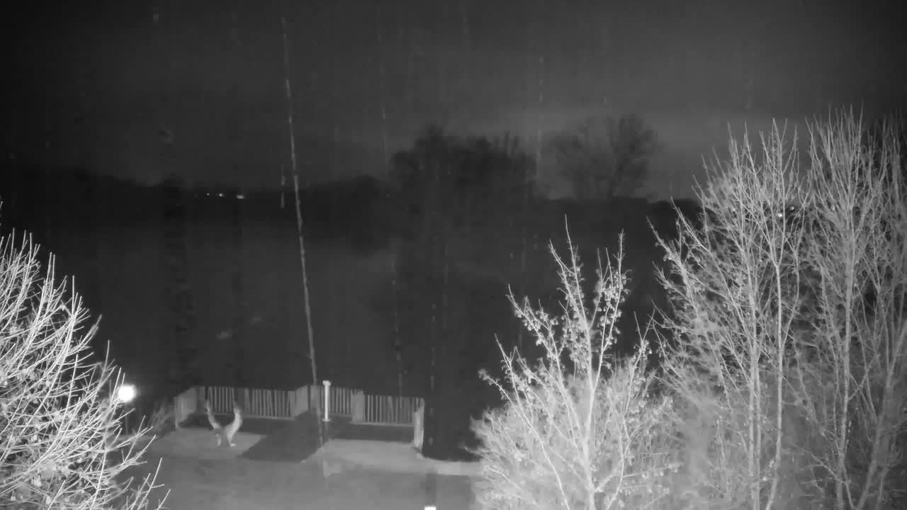 Webcam Ribnik Vrbje – Žalec