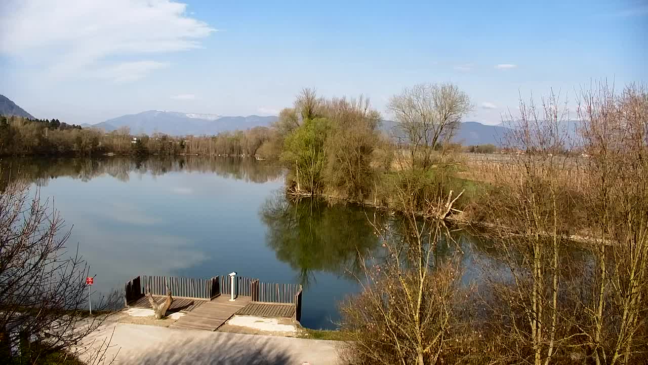 Webcam Ribnik Vrbje – Žalec