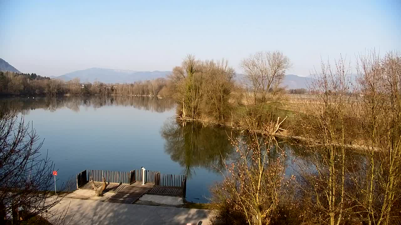 Spletna kamera Ribnik Vrbje – Žalec