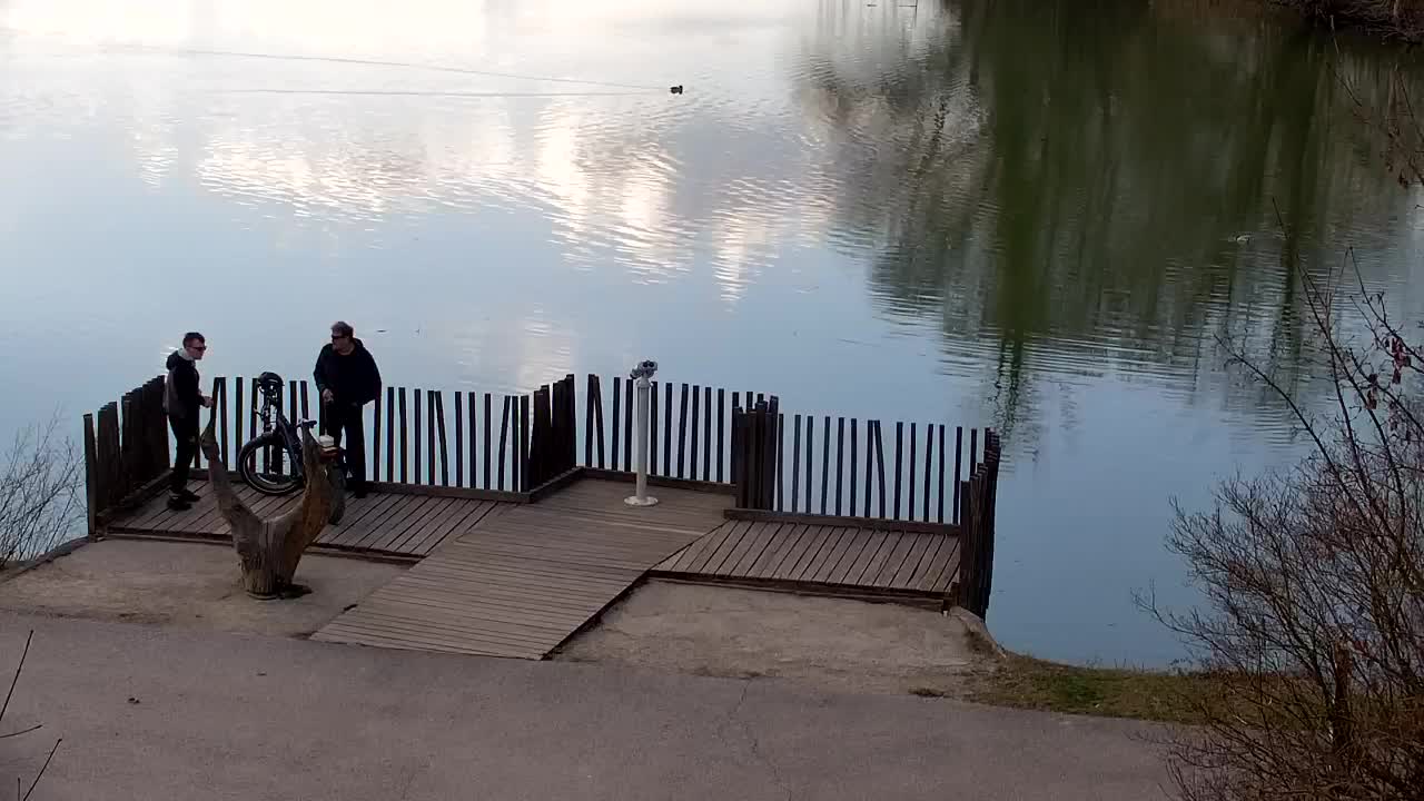 Webcam Ribnik Vrbje – Žalec