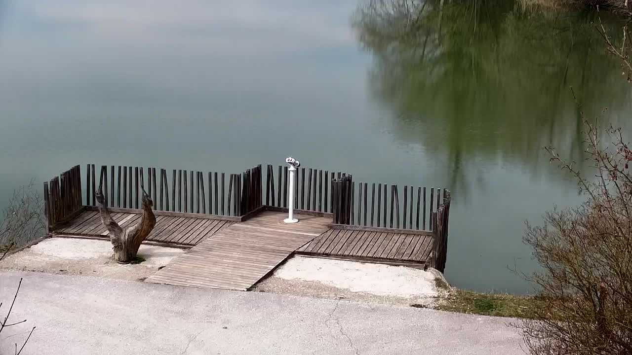 Webcam Ribnik Vrbje – Žalec