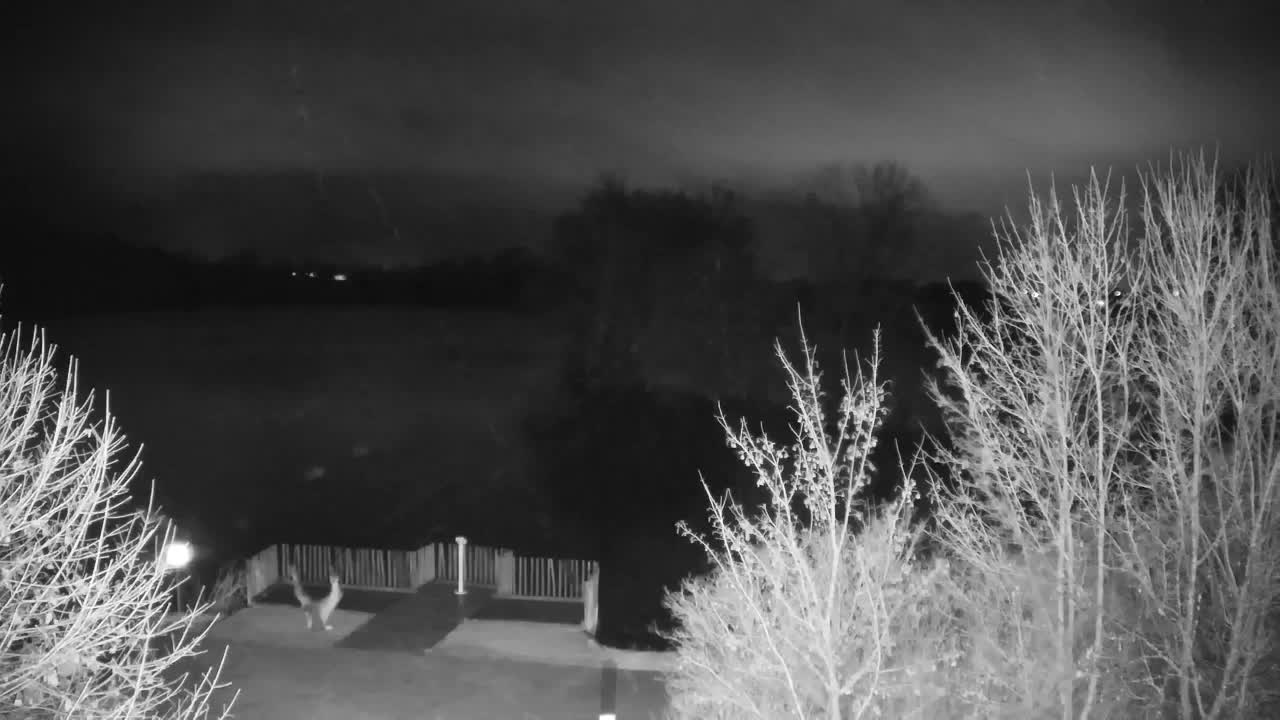 Webcam Ribnik Vrbje – Žalec