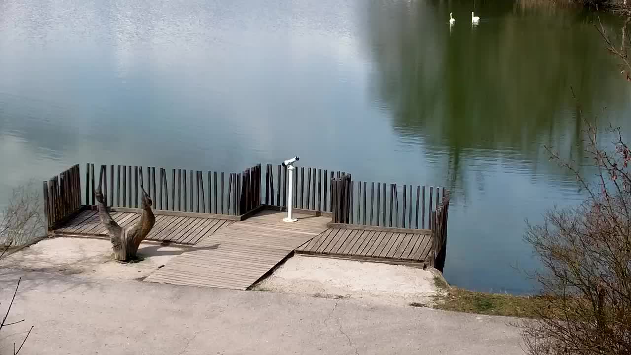 Webcam Ribnik Vrbje – Žalec