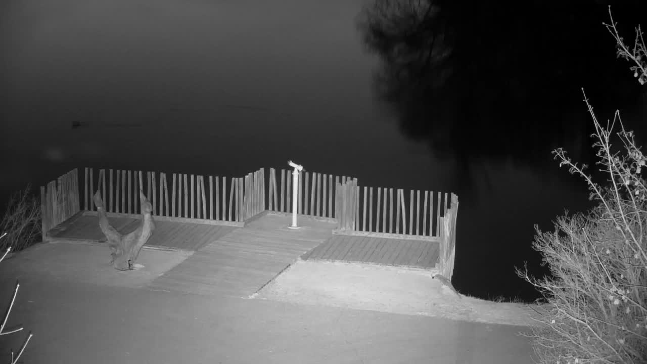 Webcam Ribnik Vrbje – Žalec