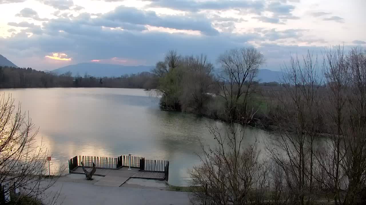 Webcam Ribnik Vrbje – Žalec