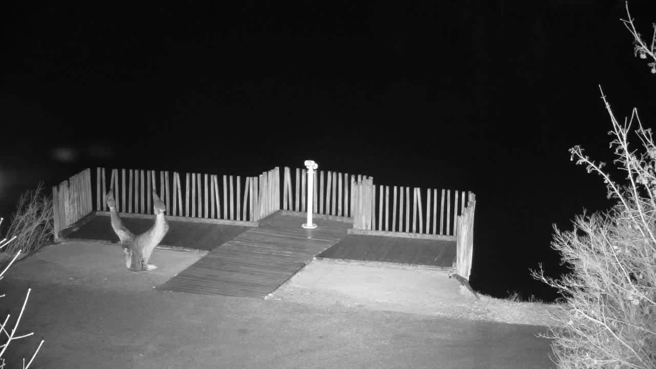 Webcam Ribnik Vrbje – Žalec