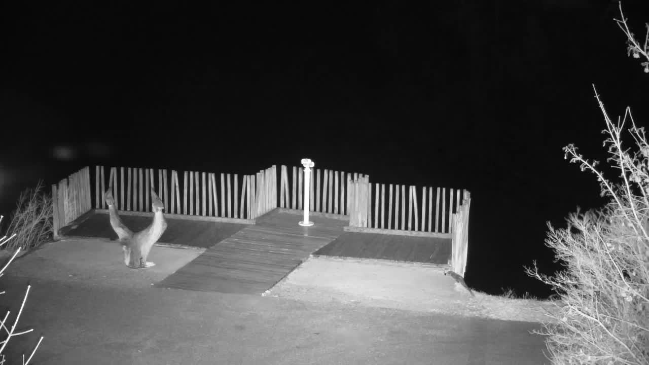 Spletna kamera Ribnik Vrbje – Žalec