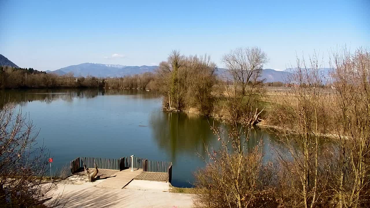 Webcam Ribnik Vrbje – Žalec