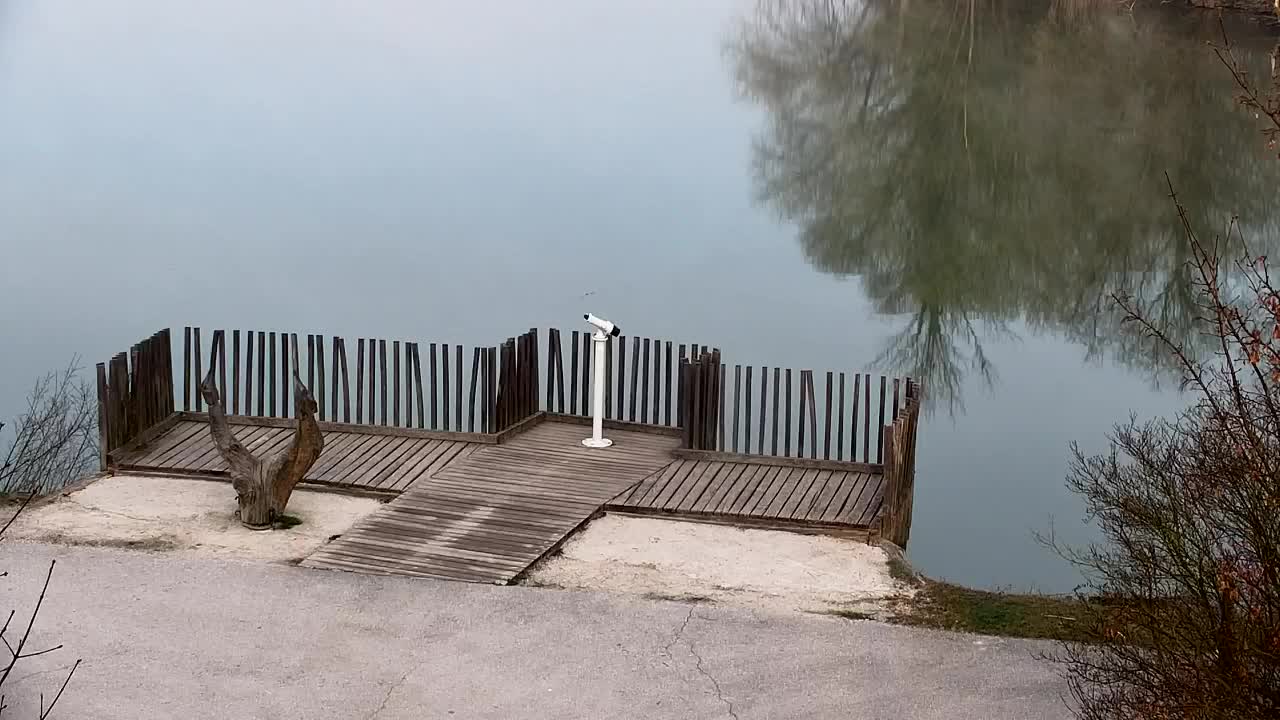 Webcam Ribnik Vrbje – Žalec