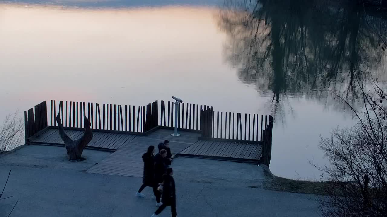 Webcam Ribnik Vrbje – Žalec