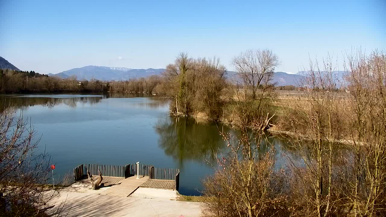 Webcam Ribnik Vrbje – Žalec