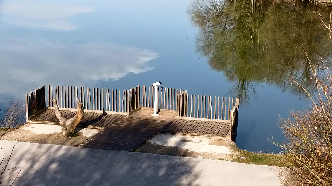 Webcam Ribnik Vrbje – Žalec