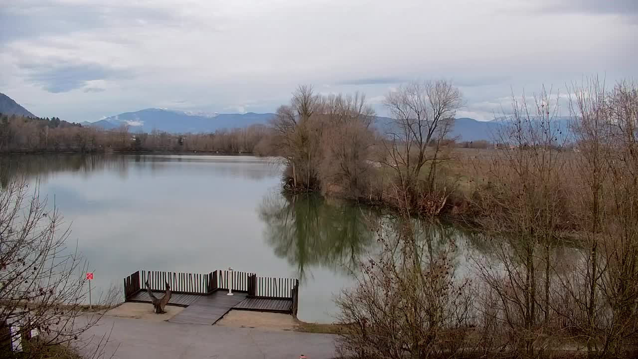 Webcam Ribnik Vrbje – Žalec