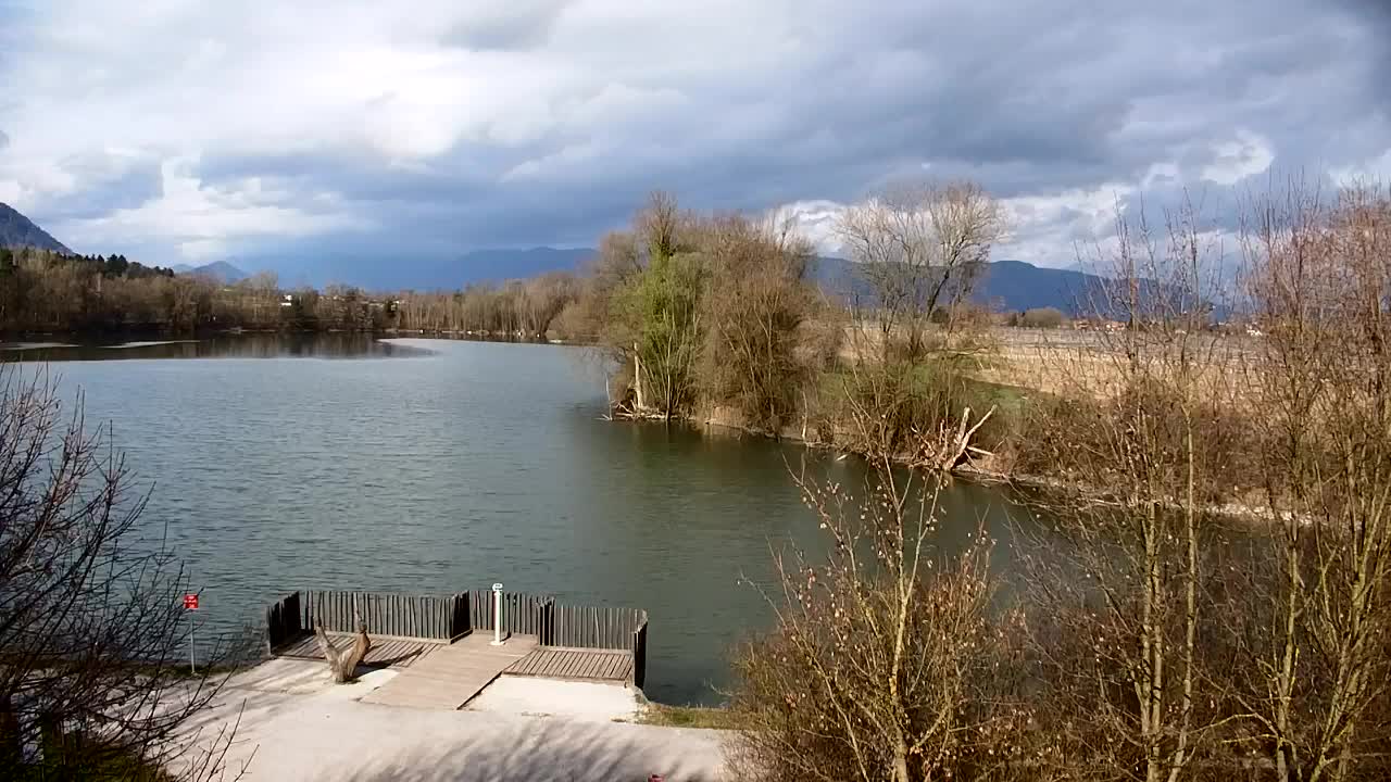 Webcam Ribnik Vrbje – Žalec