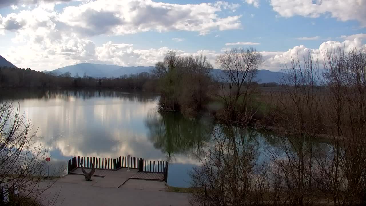 Webcam Ribnik Vrbje – Žalec