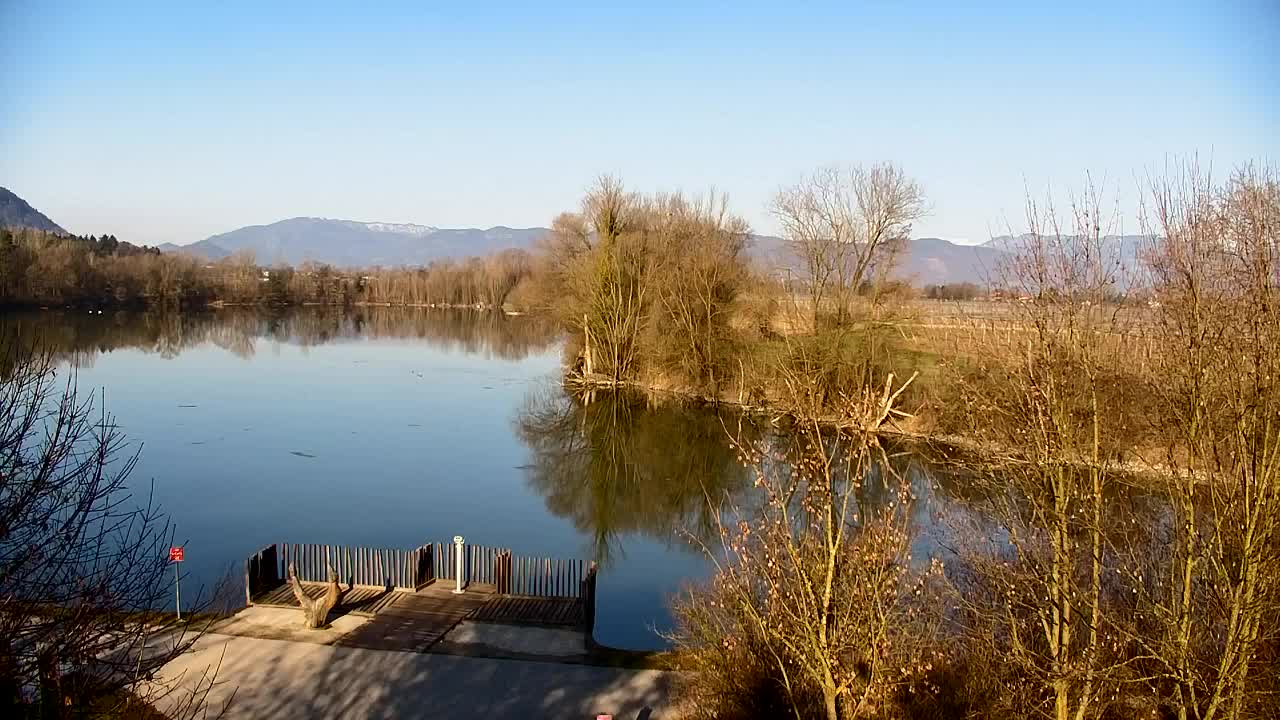 Webcam Ribnik Vrbje – Žalec