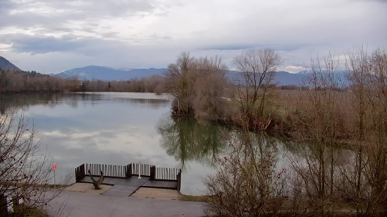 Web kamera Ribnik Vrbje – Žalec