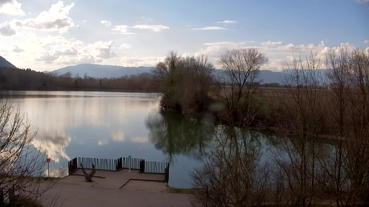 Webcam Ribnik Vrbje – Žalec