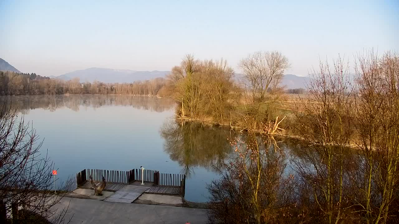 Webcam Ribnik Vrbje – Žalec