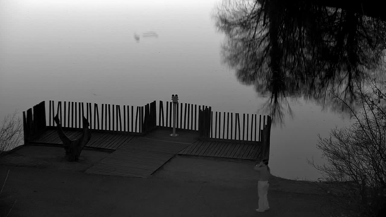 Webcam Ribnik Vrbje – Žalec