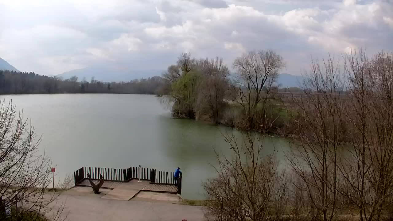 Webcam Ribnik Vrbje – Žalec