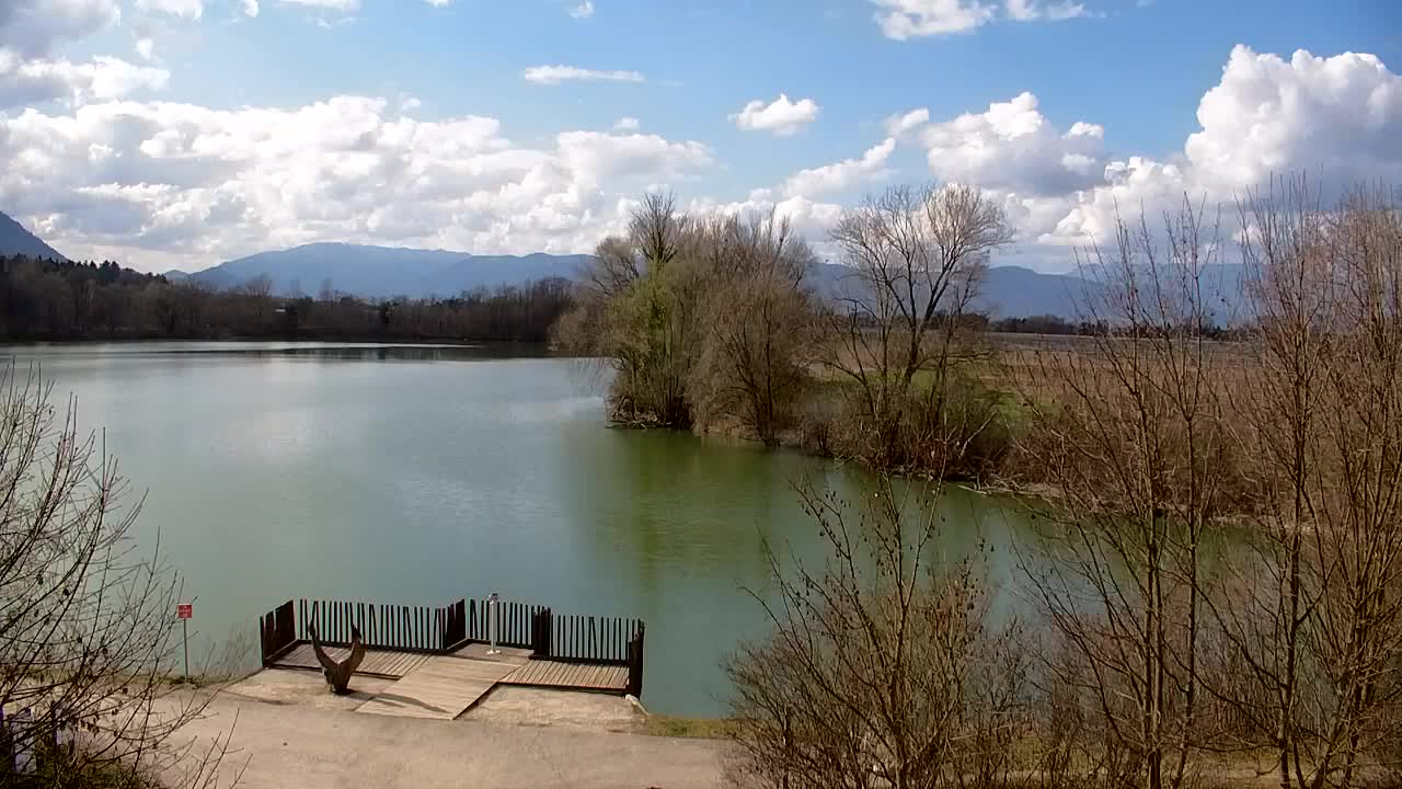 Spletna kamera Ribnik Vrbje – Žalec