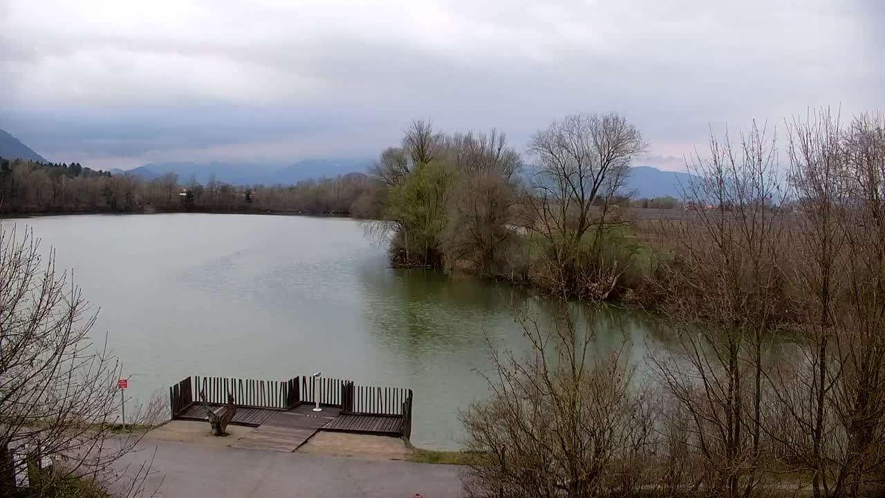 Webcam Ribnik Vrbje – Žalec