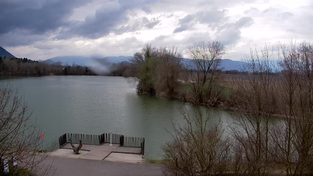 Webcam Ribnik Vrbje – Žalec