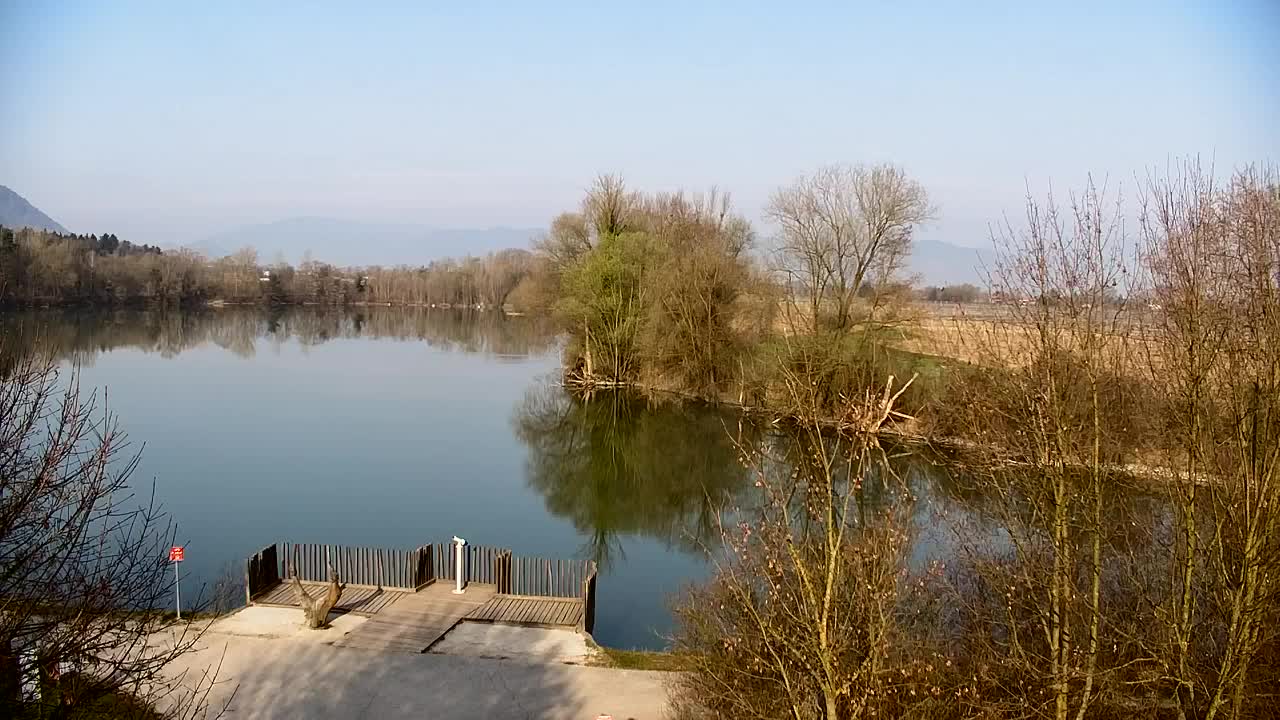 Webcam Ribnik Vrbje – Žalec