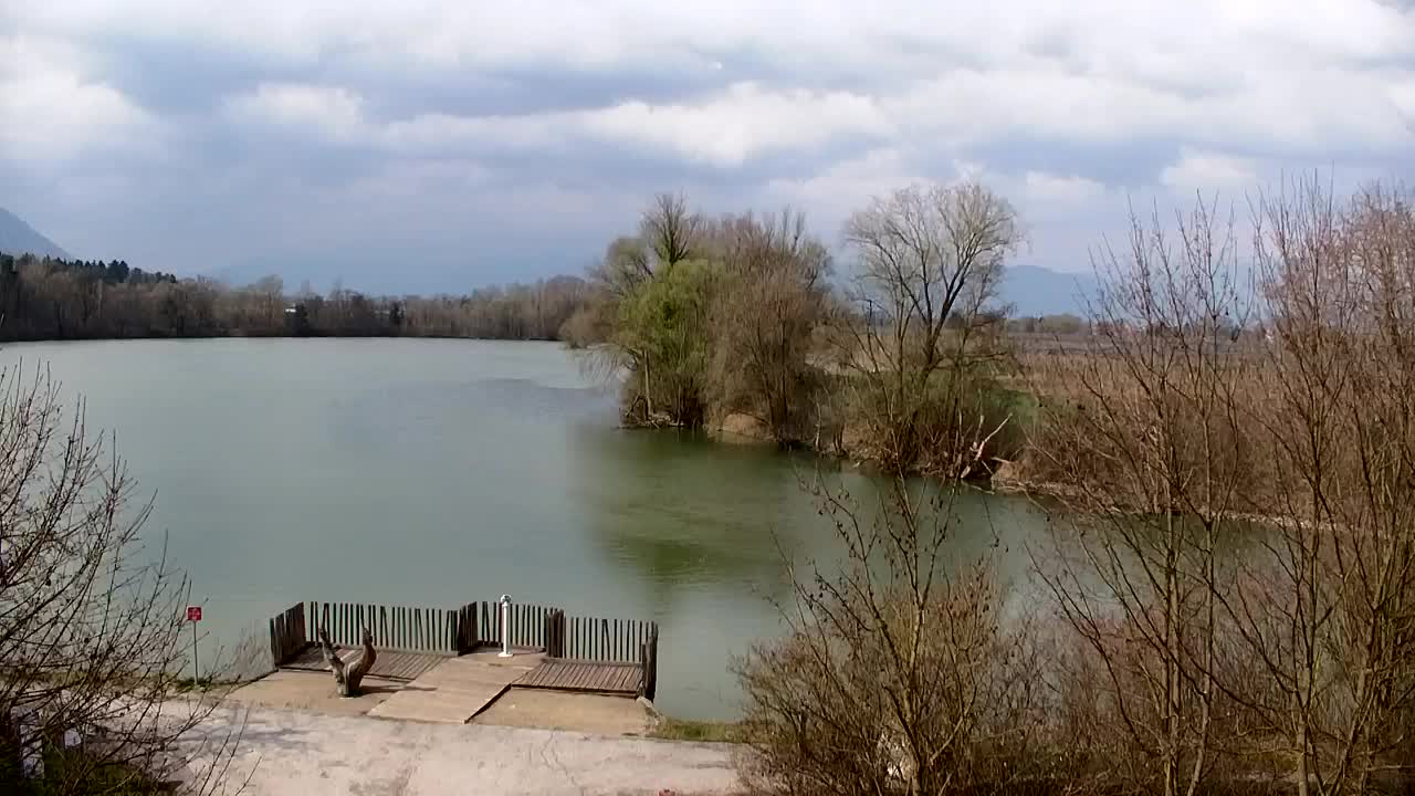 Webcam Ribnik Vrbje – Žalec