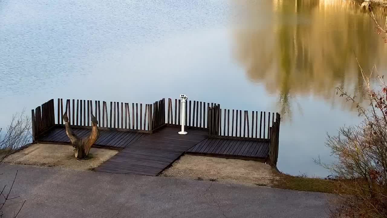 Webcam Ribnik Vrbje – Žalec