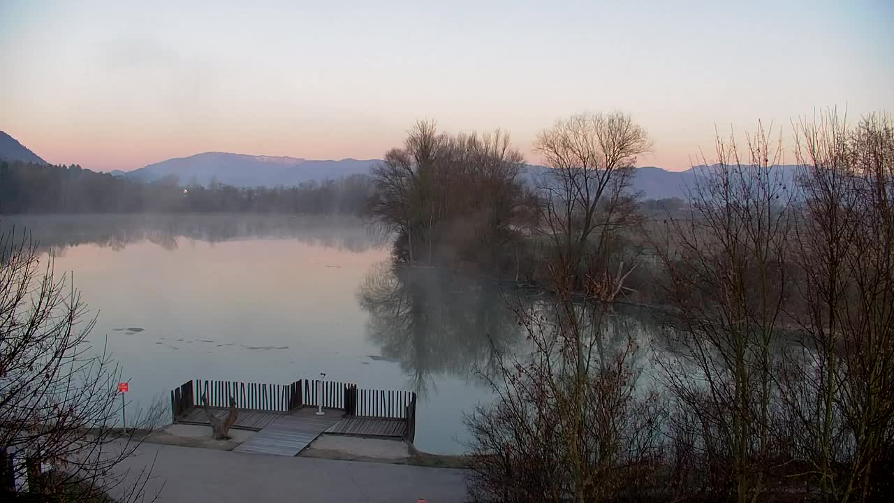 Spletna kamera Ribnik Vrbje – Žalec