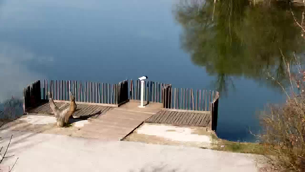 Web kamera Ribnik Vrbje – Žalec