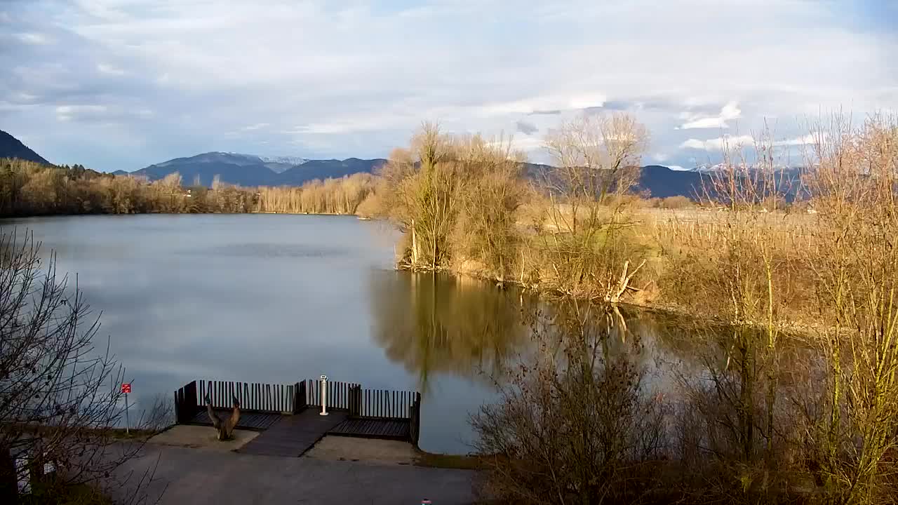 Webcam Ribnik Vrbje – Žalec