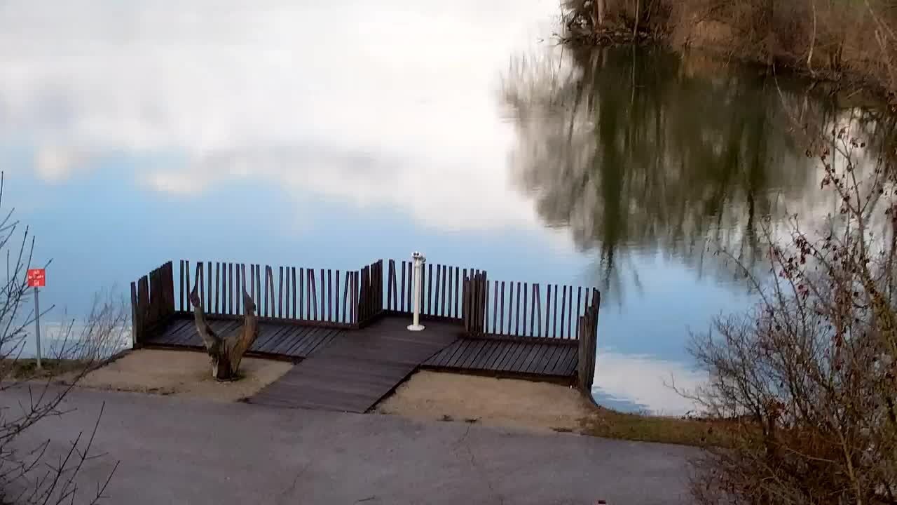 Webcam Ribnik Vrbje – Žalec