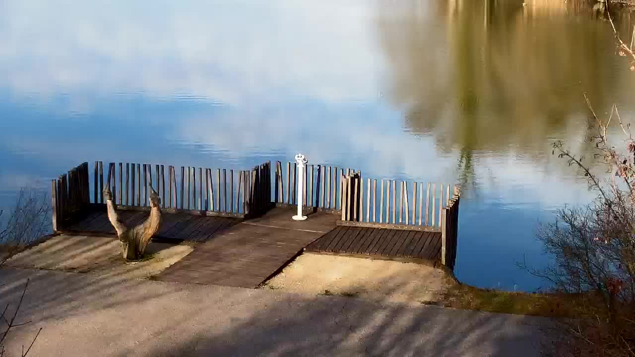 Webcam Ribnik Vrbje – Žalec