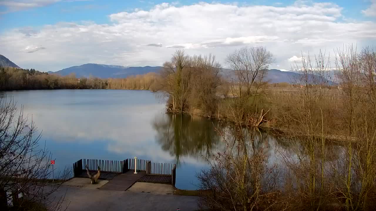 Webcam Ribnik Vrbje – Žalec