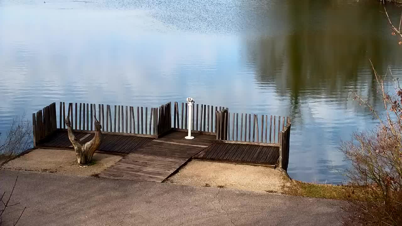 Webcam Ribnik Vrbje – Žalec