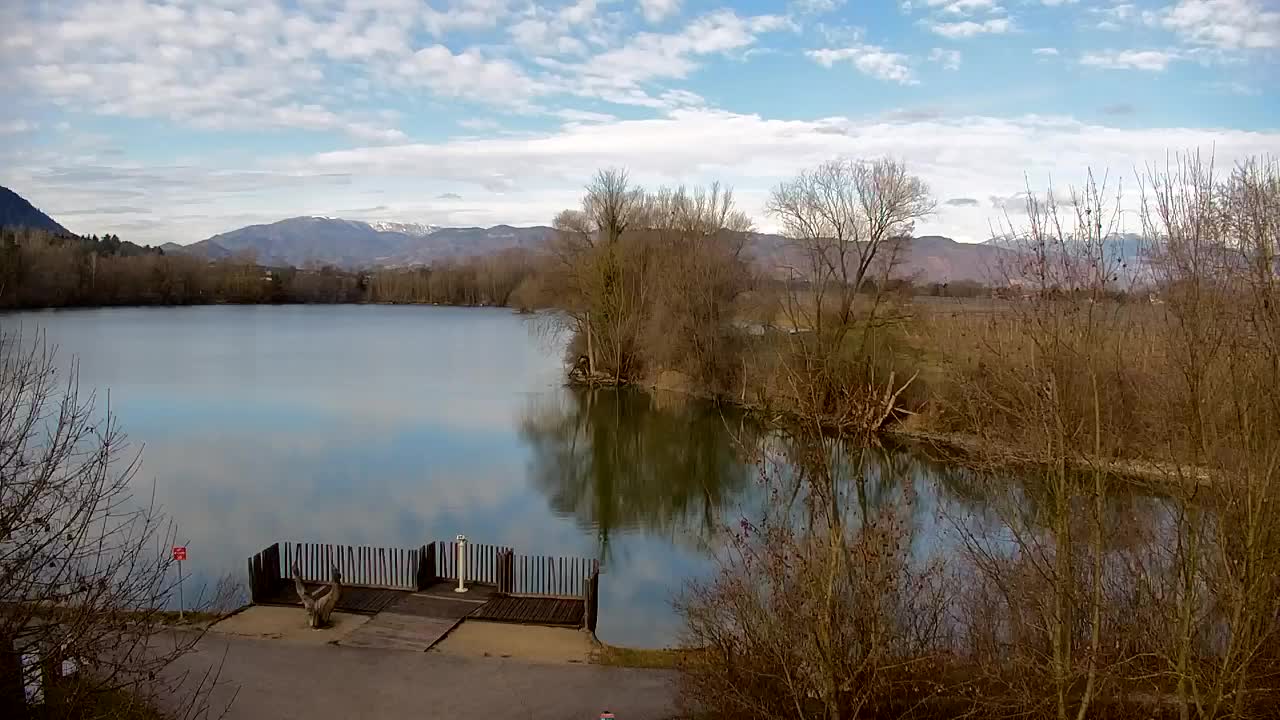 Web kamera Ribnik Vrbje – Žalec