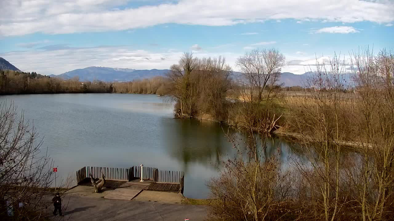 Web kamera Ribnik Vrbje – Žalec