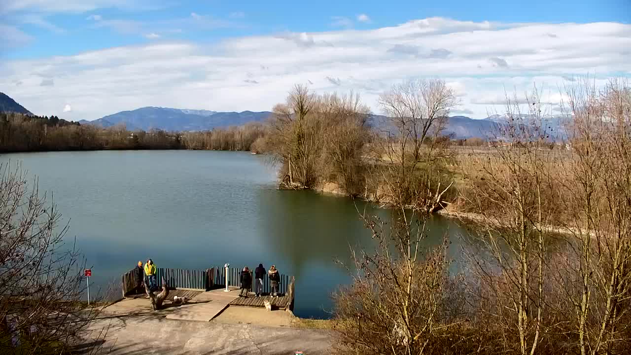 Webcam Ribnik Vrbje – Žalec